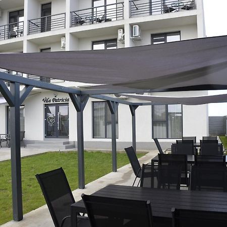 Vila Patricia コスティネシュティ エクステリア 写真